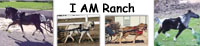 I AM Ranch